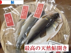 にほんブログ村 釣りブログ 鮎釣りへ