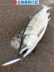 にほんブログ村 釣りブログ 北海道釣行記へ