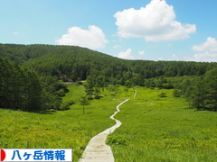 にほんブログ村 地域生活（街） 中部ブログ 八ヶ岳情報へ