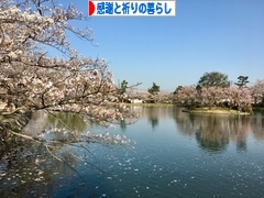 にほんブログ村 ライフスタイルブログ 感謝と祈りの暮らしへ