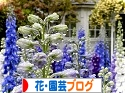 にほんブログ村 花・園芸ブログへ