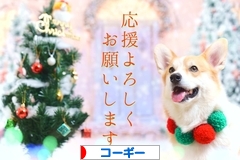 にほんブログ村 犬ブログ コーギーへ