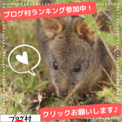 にほんブログ村 にほんブログ村へ