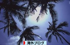 にほんブログ村 海外生活ブログへ