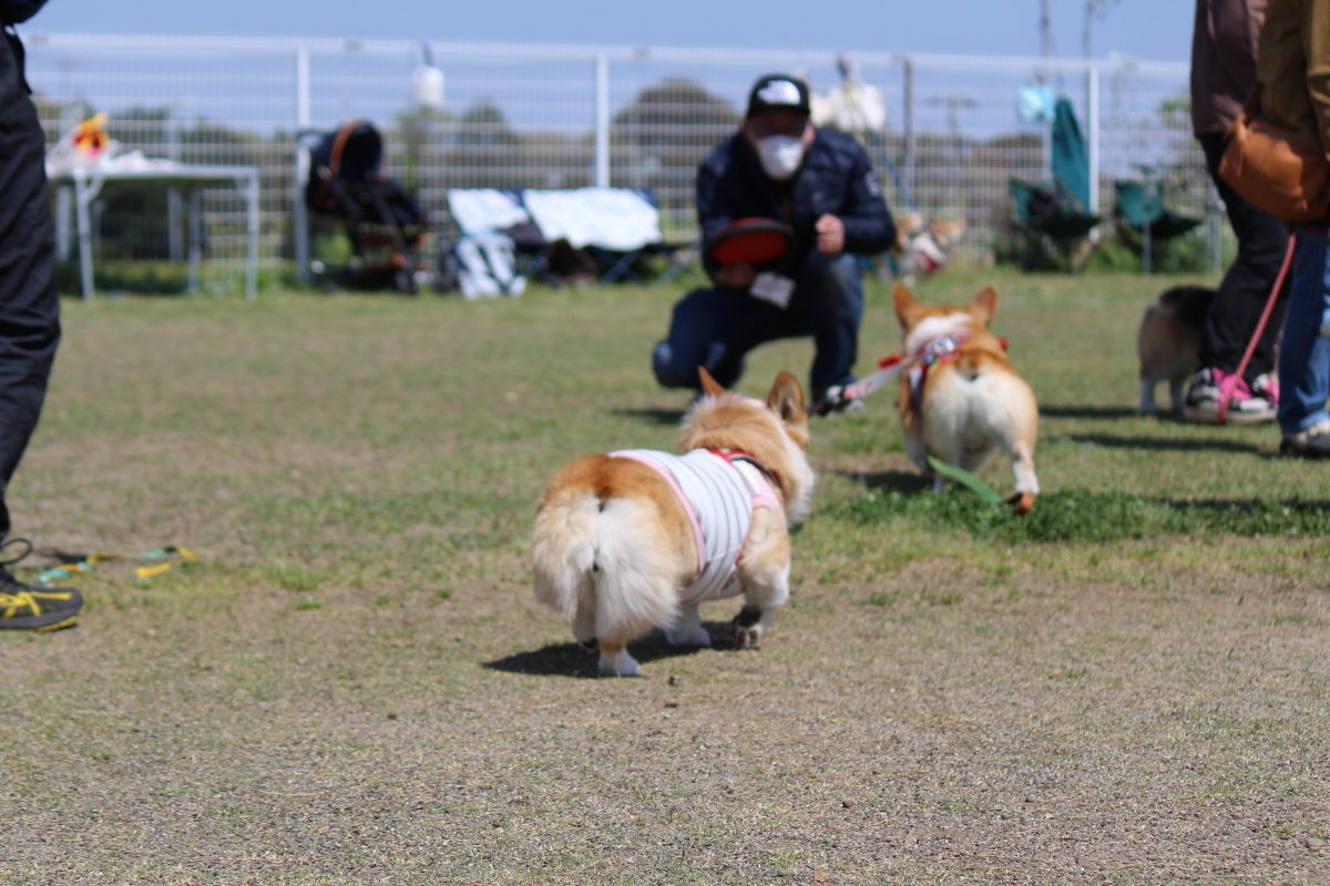 がんばる6