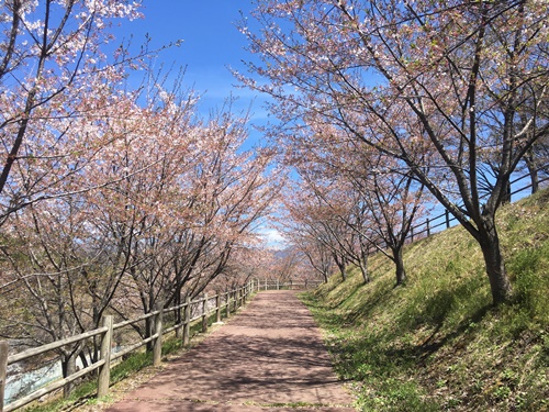 敷島公園１７