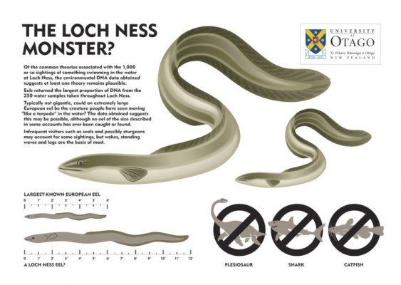 LochNess-graphic-768x546.jpg