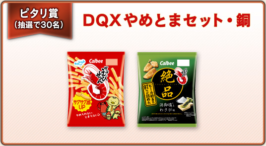 ピタリ賞から抽選で30名　DQXやめとまセット・銅