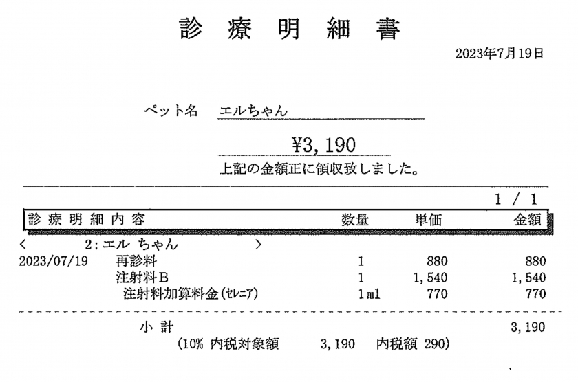 エル体調不良　健康診断　領収証20230719