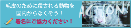 毛皮取得の為の国内の動物飼育施設の閉鎖と禁止を求める署名にご協力ください