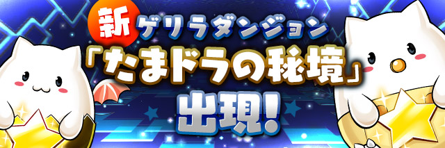 パズドラ　たまドラの秘境　時間割　12/10　ゲリラ　降臨