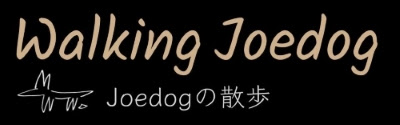 WALKING JOEDOG / Joedogの散歩