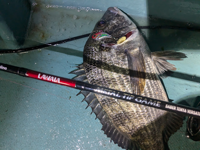 浜名湖　えびすき漁　ボートフィッシング　ボートシーバス