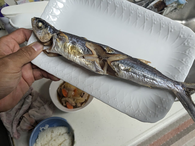 料理　えびすき漁　極漁丸　トビウオ