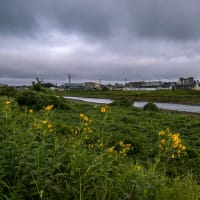 9月16日(月) 曇り空でも、歩こう暗闇散歩！