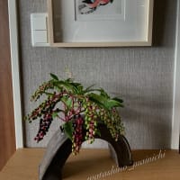 歩いていて、懐かしいお花見つけました ...「洋種山牛蒡」