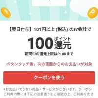 メルペイクーポンを使ったら翌日にポイントバック！たった16円で買い物できたよ