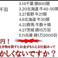 米騒動？なにそれ？