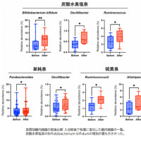 温泉つかると腸内細菌叢が整う？