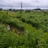 9月16日(月) 曇り空でも、歩こう暗闇散歩！