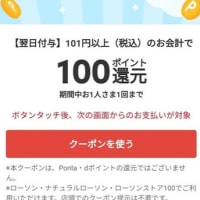 メルペイクーポンを使ったら翌日にポイントバック！たった16円で買い物できたよ