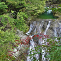 ハシカンボクと関山大滝。天童市