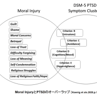 ＰＴＳＤと（m）ＴＢＩ（（軽度）外傷性脳損傷）、ＭＩ（道徳的負傷：モラルインジャリー）（９）  ～モラルインジャリーとＰＴＳＤ～