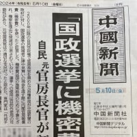 自民党もTVや大メディアも信用しちゃダメ