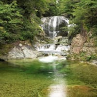 ハシカンボクと関山大滝。天童市