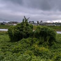 9月16日(月) 曇り空でも、歩こう暗闇散歩！