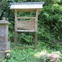 静岡の蓮永寺(2)お万の方の供養塔