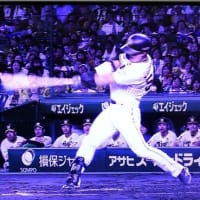 プロ野球阪神ーヤクルト戦 甲子園球場