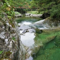 ハシカンボクと関山大滝。天童市