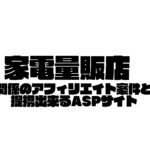 家電量販店、ASPサイト