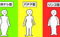 【体型別ダイエット】自分に体型を理解してからやるダイエット法が痩せやすい「洋ナシ型はスクワット、りんご型は腹筋・・