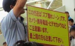 【観客騒然】鴨シー「水しぶきにご注意ください！」→シャチのザッブーーーンが凄まじすぎる