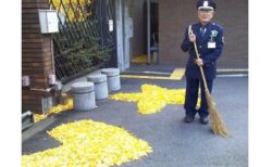 【ハートと星】銀杏の落ち葉掃除。守衛さんの表情と佇まいが最高の1枚が話題に