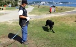 海上自衛隊警備犬「水かけて～！」おねだりして大喜びする様子が可愛いｗｗｗｗ