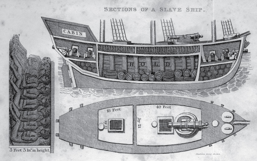 An image shows a drawing of the sections of a slave ship: from the top and a longitudinal section, as well as the dimensions.