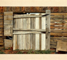 Shed Door