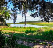 Sapelo Island