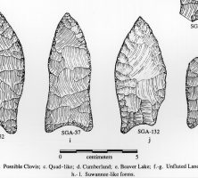 Suwannee Points