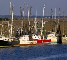 Altamaha River, Darien