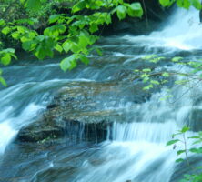 Amicalola Falls