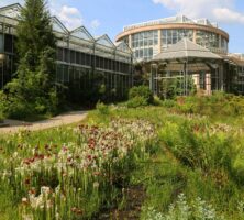 Atlanta Botanical Garden