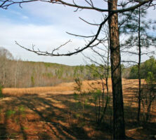 Pickett’s Mill Battlefield Area