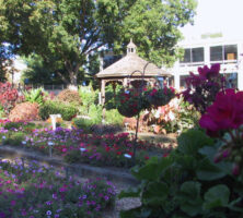 Betty Johnson Horticulture Garden