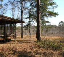 Birdsong Nature Center