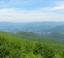 Brasstown Bald