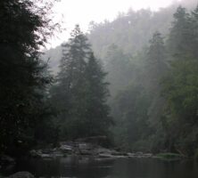 Chattooga River